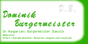 dominik burgermeister business card